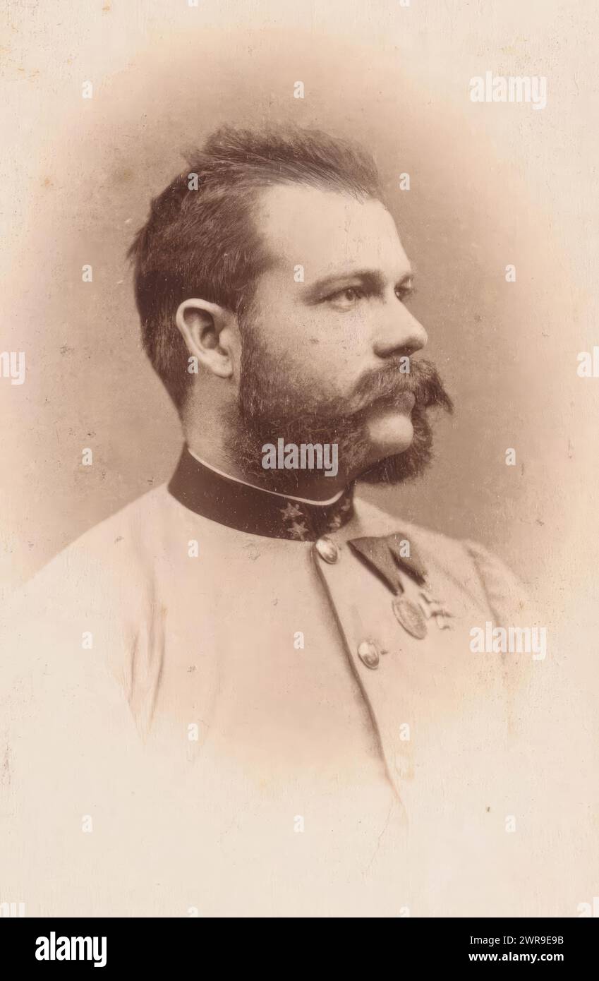 Porträt eines Mannes in Militäruniform, dieses Foto ist Teil eines Albums. Julius Gertinger, Wien, 1877, fotografische Unterstützung, Albumendruck, Höhe 87 mm x Breite 53 mm, Foto Stockfoto