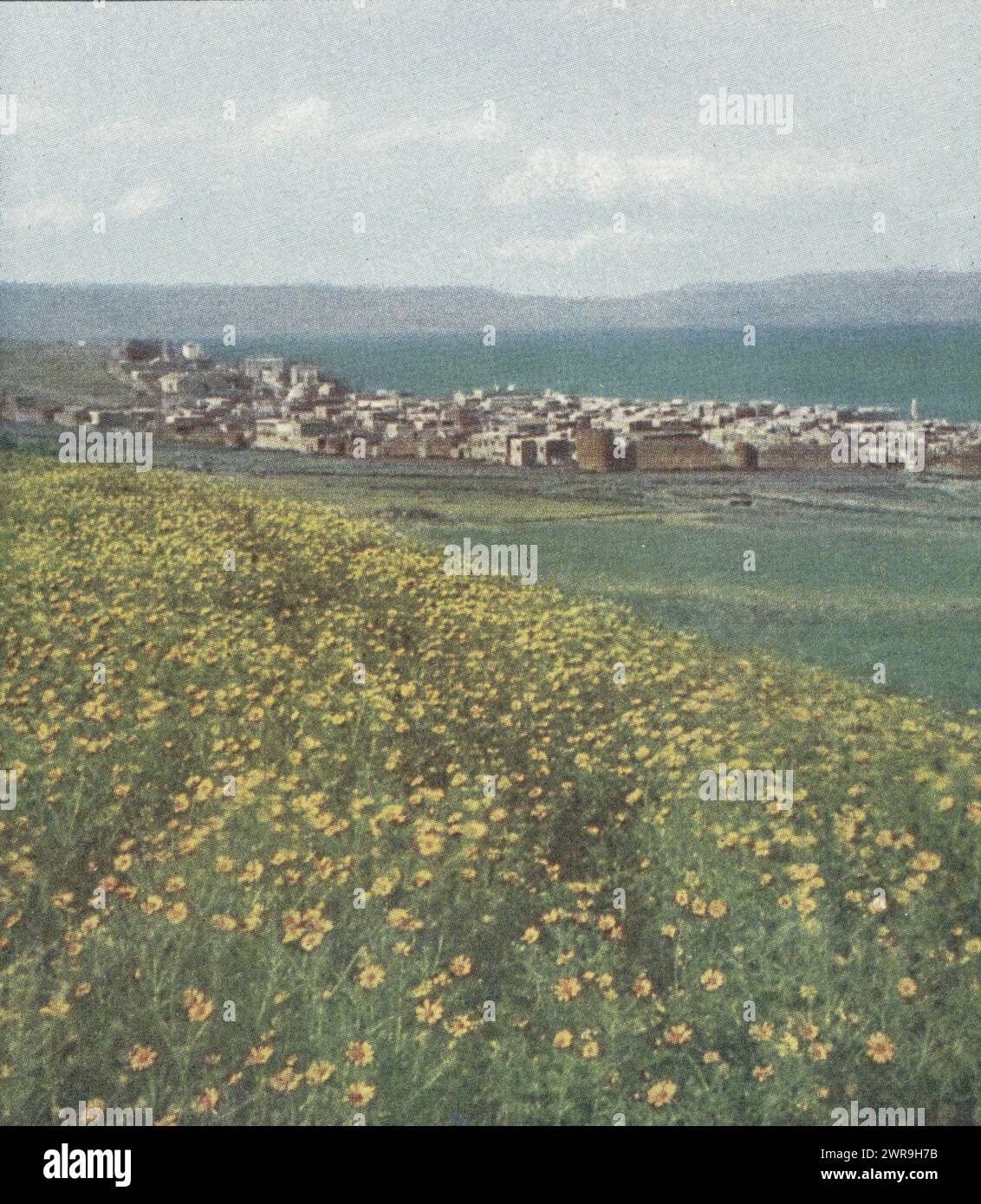 View of Tiberias, Israel, Tiberias (Titel über Objekt), Serie 27 Palästina 1 Nr. 175-180 (Serientitel über Objekt), anonym, Farbenphotographischen Gesellschaft, Verlag: Farbenphotographischen Gesellschaft, Tiberias, Stuttgart, Verlag: Stuttgart, 1911 - 1919, Papier, Höhe 90 mm x Breite 180 mm, Stereograph Stockfoto