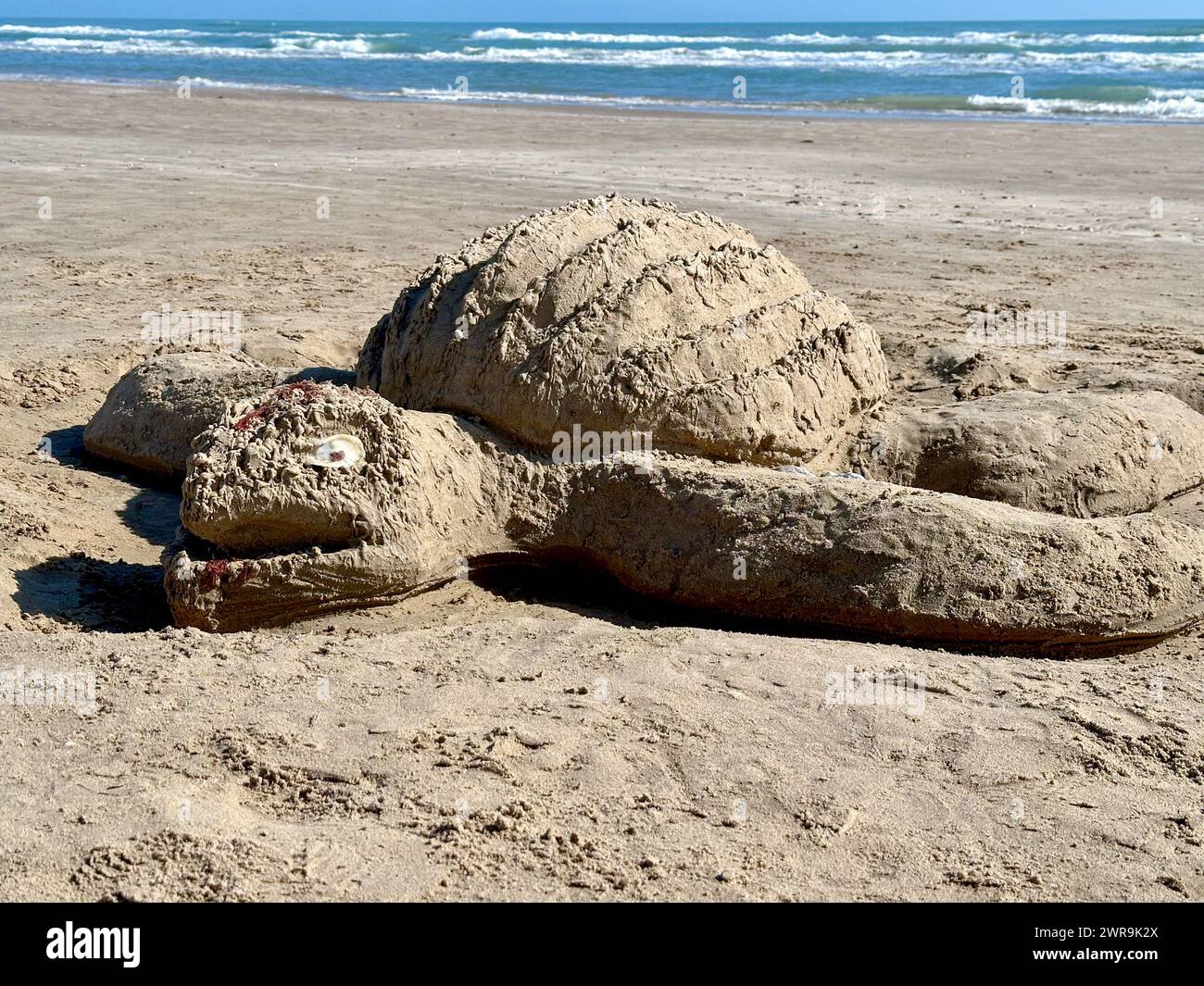Meeresschildkröten-Sandskulptur an einem Strand von South Padre Island, Texas Stockfoto