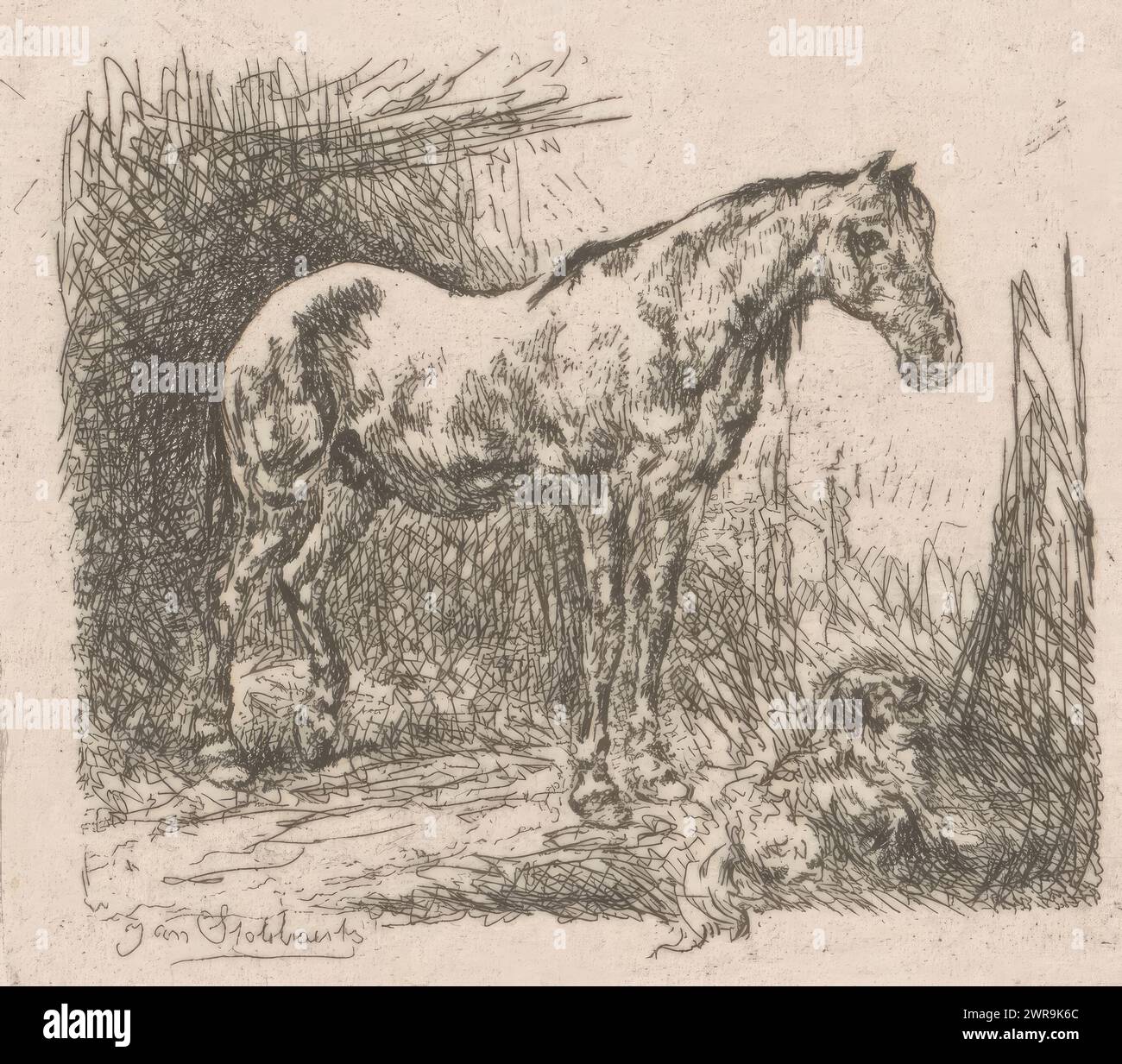 Pferd und Hund, Druckerei: Jan Stobbaerts, 1848 - 1879, Papier, Ätzung, Höhe 58 mm x Breite 65 mm, Druck Stockfoto