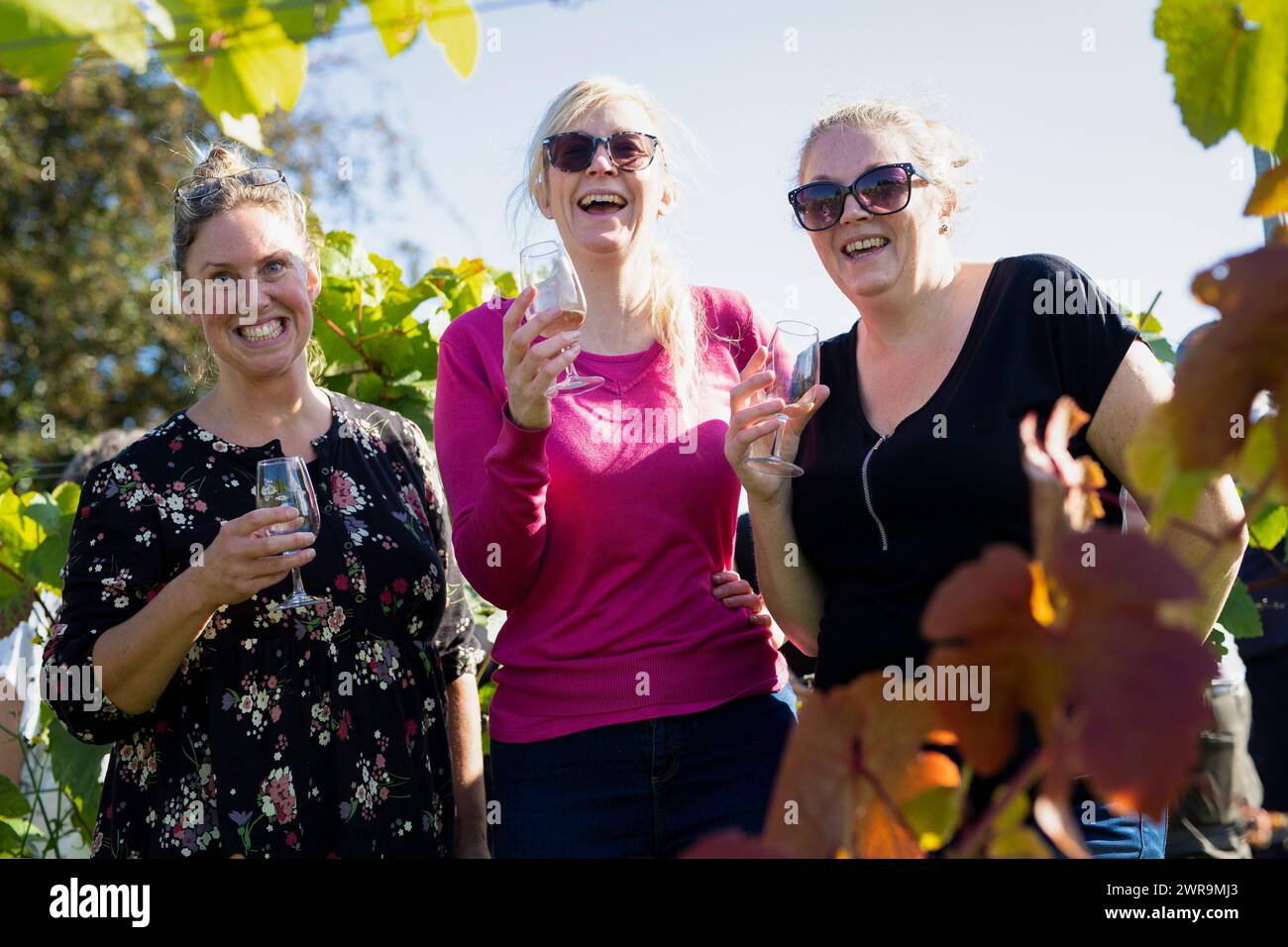 10/10/21 L/R Sarah Vause, Lucy Scriven und Sarah Hargate teilen sich ein Glas Weißwein, während sie die diesjährigen Trauben stampfen. 42 Freiwillige, alle PA Stockfoto