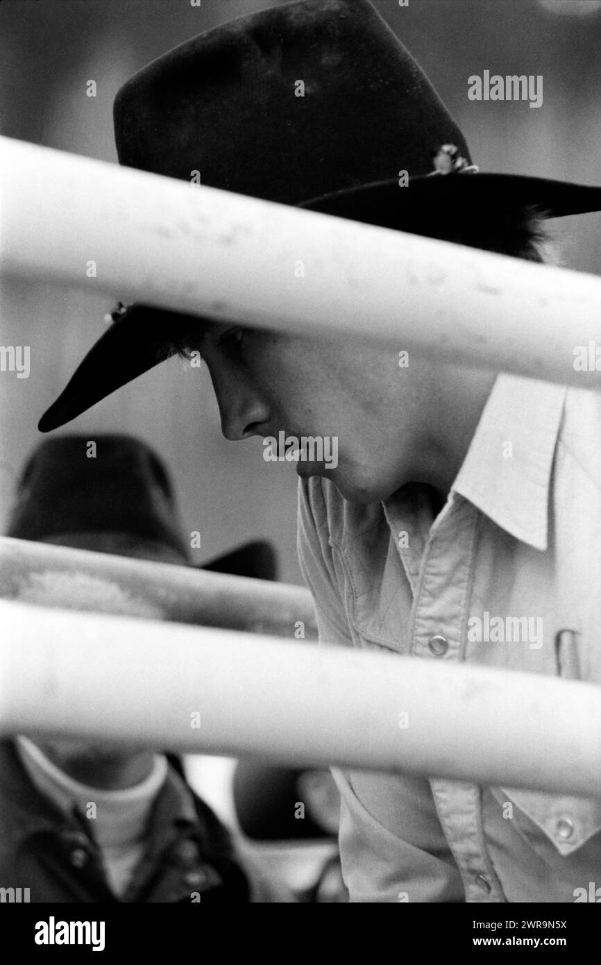 Junger Cowboy in der Rutsche im Water Valley Rodeo, ca. 1982, Alberta Kanada Stockfoto