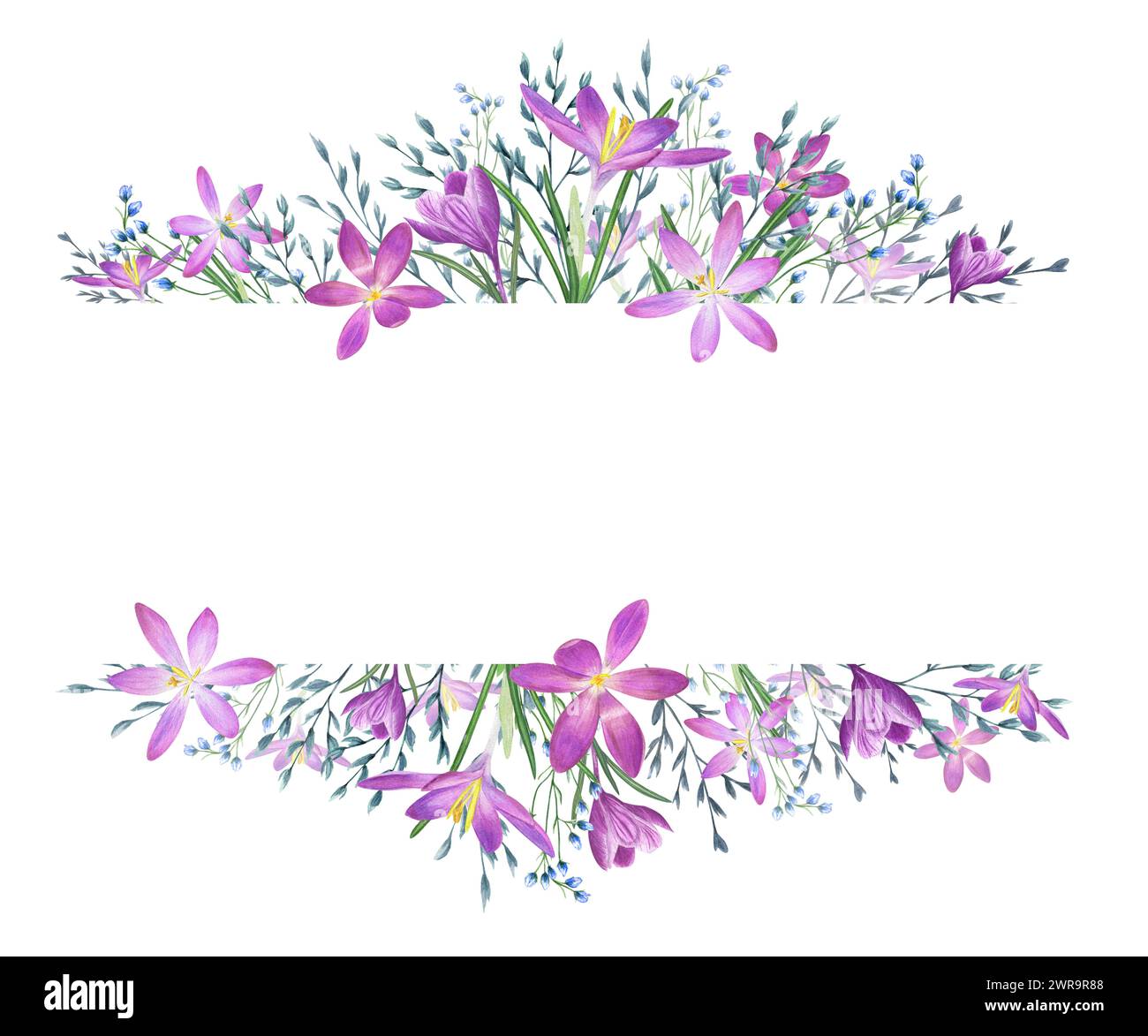 Krokusblüten und wilde Kräuter. Safran- und Frühlingswiesen, Gartenpflanzen. Blaue, violette Blüten. Horizontaler Rahmen mit Kopierraum für Text. Stockfoto