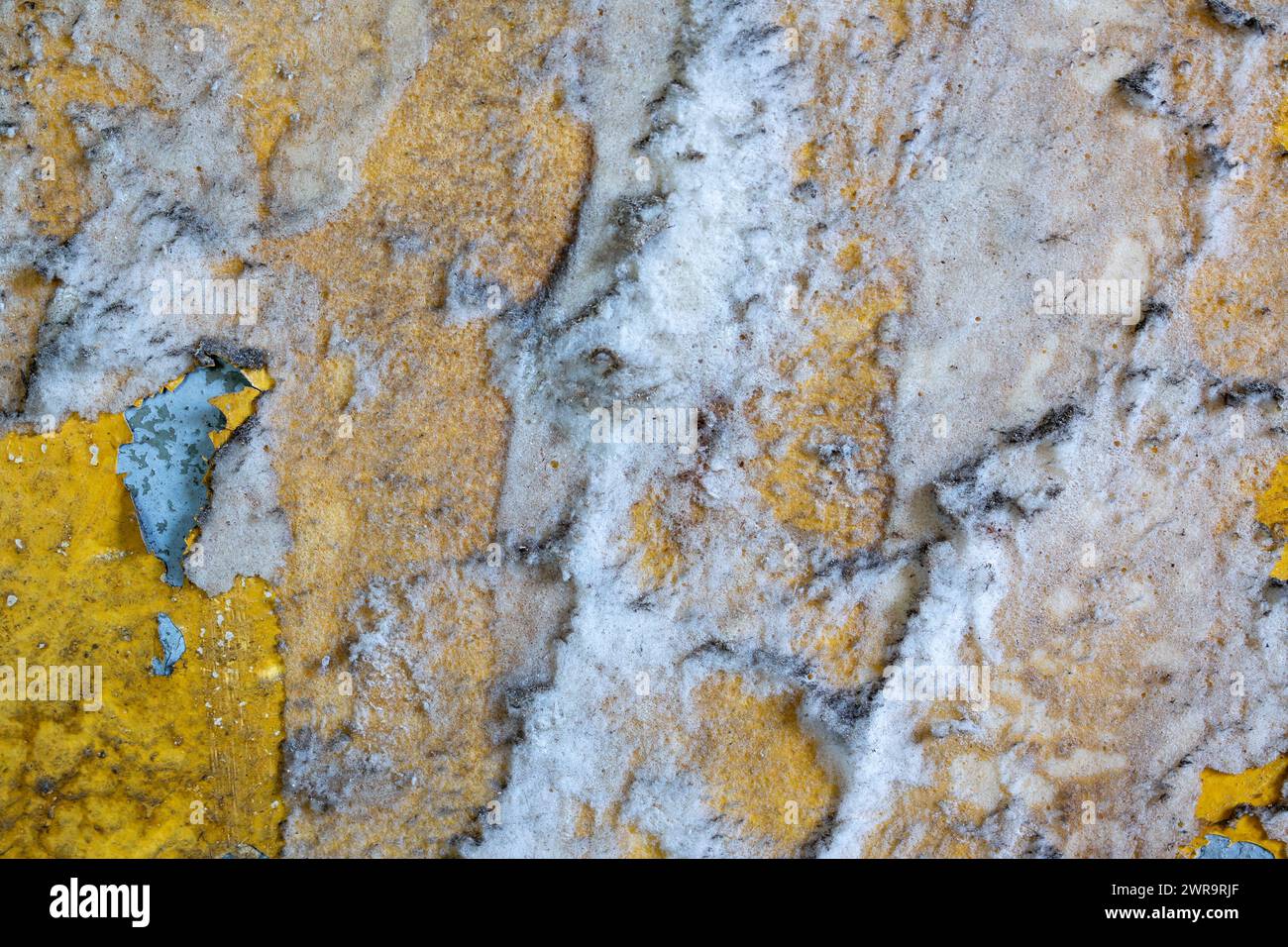 Salpeter an einer Wand in einem Raum, gesundheitsschädlich Stockfoto