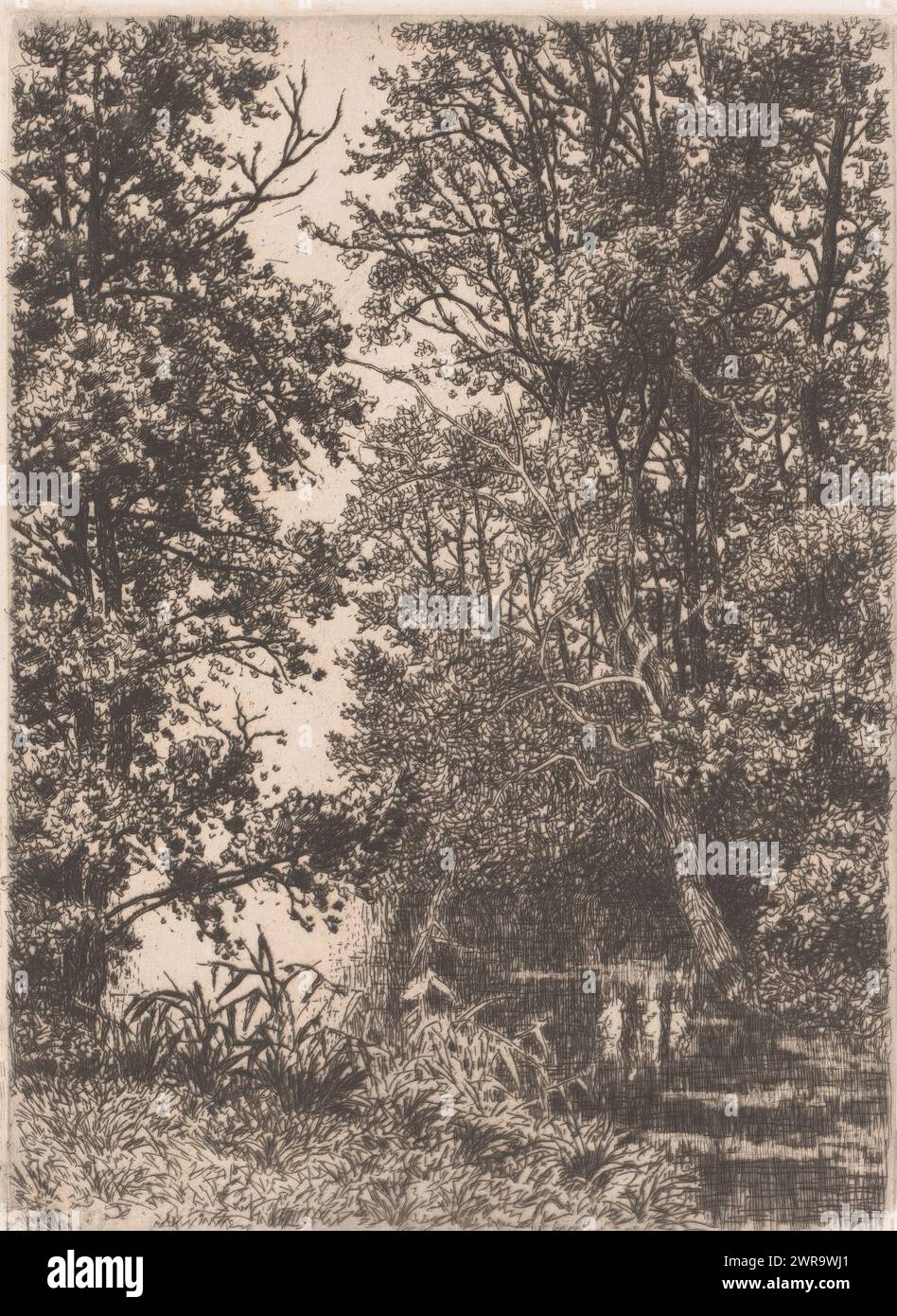 Aufforstung um einen See, Druckerei: Alfred Elsen, (signiert vom Künstler), 1860 - 1910, Papier, Ätzen, Höhe 210 mm x Breite 155 mm, bedruckt Stockfoto