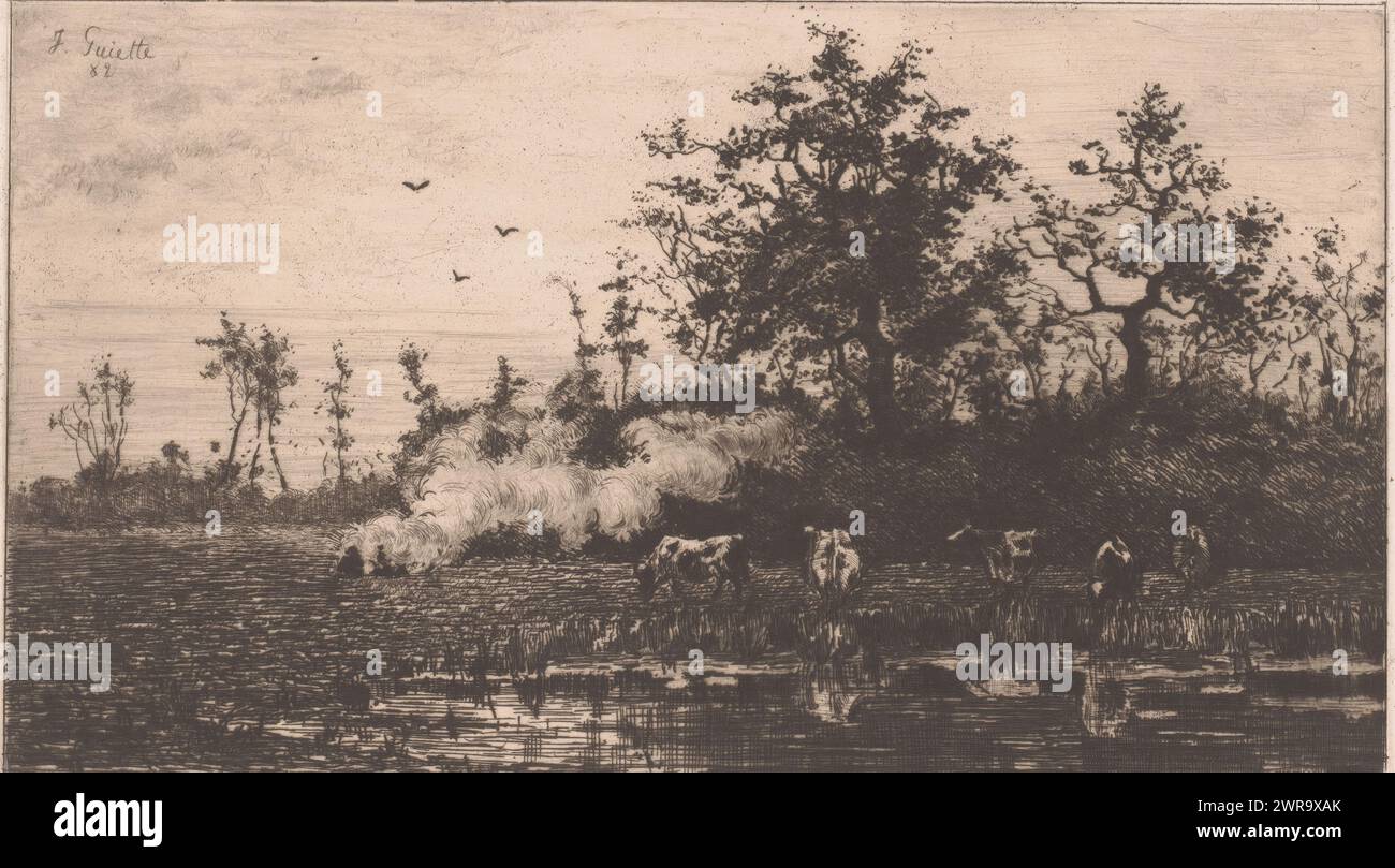 Kühe am Wasser am Ende des Winters, Druckerei: Jules Guiette, 1882, Papier, Ätzen, Höhe 150 mm x Breite 252 mm, Druck Stockfoto