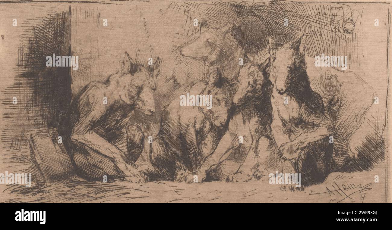 Fünf Eckzähne, Druckerei: Armand Heins, 1887, Papier, Ätzen, Trockenspitze, Höhe 150 mm x Breite 257 mm, bedruckt Stockfoto