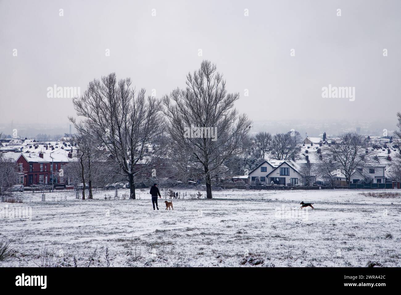 Winterlicher Hundespaziergang im Clarence Park Stockfoto