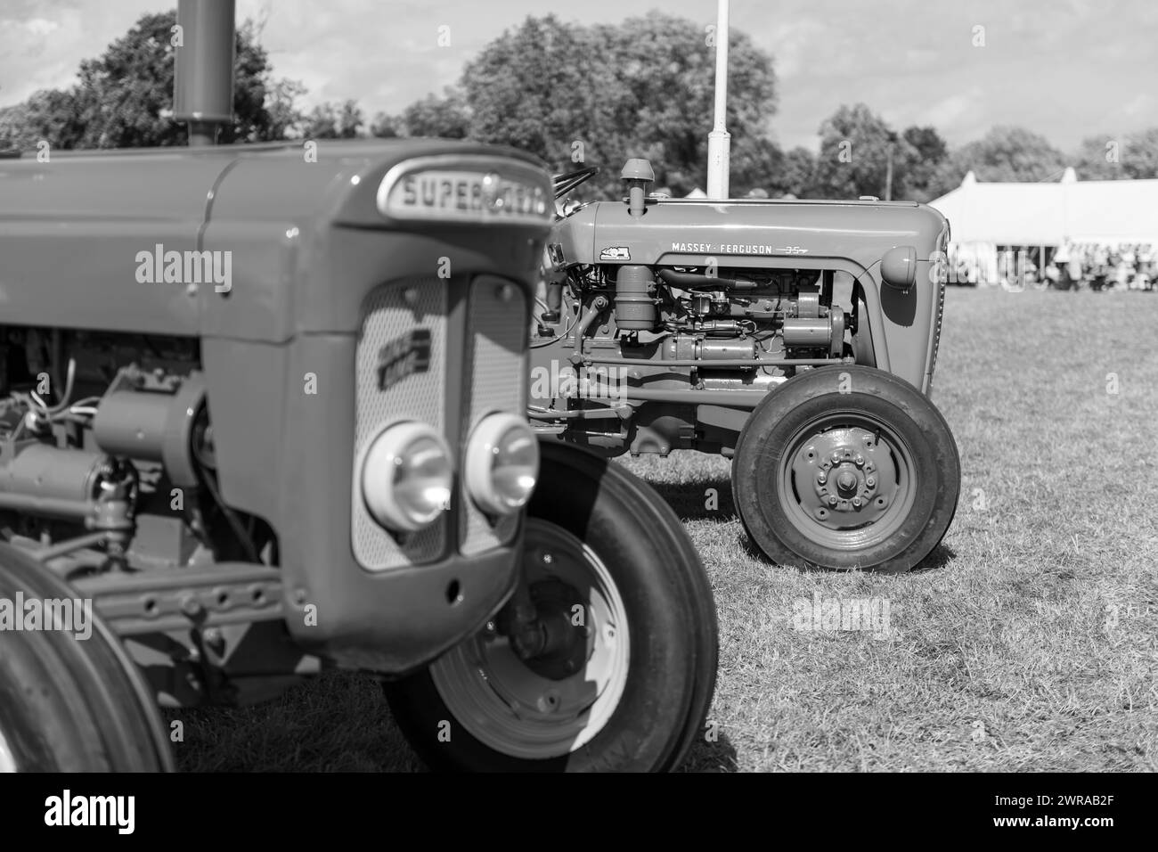 Drayton.Somerset.United Kingdom.19. August 2023.Ein restaurierter Massey Ferguson 35 wird auf einer Yesterdays-Landwirtschaftsveranstaltung gezeigt Stockfoto