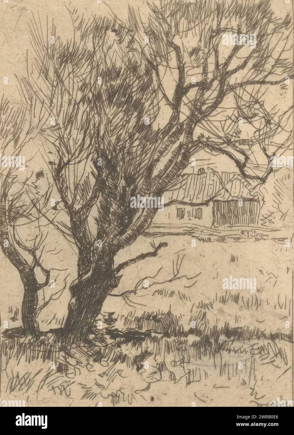 Baum im Feld, Baumstudie (Originaltitel), Druckerei: Willem de Zwart, ca. 1889 - ca. 1890, Papier, Ätzen, Trockenspitze, Höhe 110 mm x Breite 80 mm, Druck Stockfoto