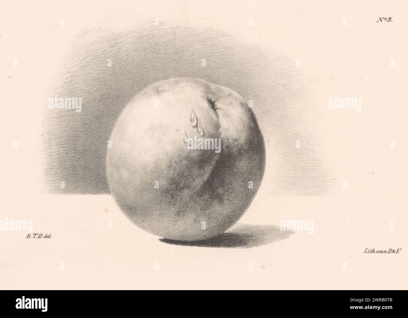 Pfirsich, Principes de Fleurs et de Fruits l'Usage des Commencants (Titel der Serie), es gibt drei Tropfen auf dem Pfirsich. Nummeriert oben rechts: „Nr. 3“. Der Druck ist Teil eines Covers mit sechs Drucken., Druckerei: Elise Therèse Daiwaille, Drucker: Daiwaille en Veldhuijzen, Amsterdam, 1824 - 1881, Papier, Höhe 210 mm x Breite 255 mm, Druck Stockfoto