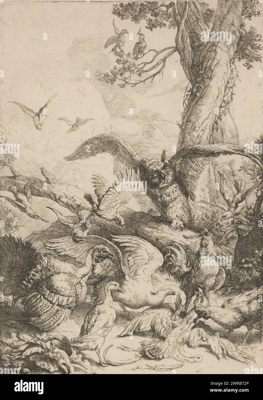 Vögel picken Pfauenfedern aus einer Elster, nach Äsoops Fabel von der Elster mit Pfauenfedern. Die Fabel beschreibt, wie sich eine Elster mit Pfauenfedern dekoriert hat, um zu den Pfauen zu gehören. Allerdings wird er von den Pfauen entblößt und gepickt. Die Moral der Geschichte lehrt, dass man sich an den eigenen Boden halten sollte., Druckerei: Georg Daniel Schultz (II), 1620 - 1683, Papier, Ätzen, Höhe 307 mm, Breite 203 mm, bedruckt Stockfoto