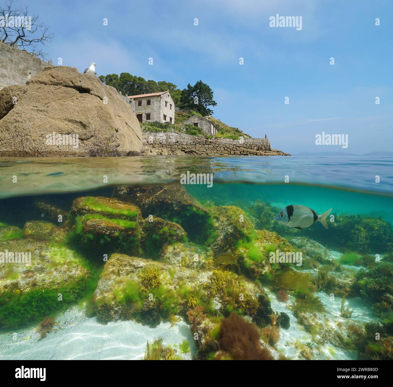 Küste mit altes Haus am Ufer des Atlantischen Ozeans in Spanien, geteilter Blick zur Hälfte über und unter der Wasseroberfläche, natürliche Szene, Galicien Stockfoto