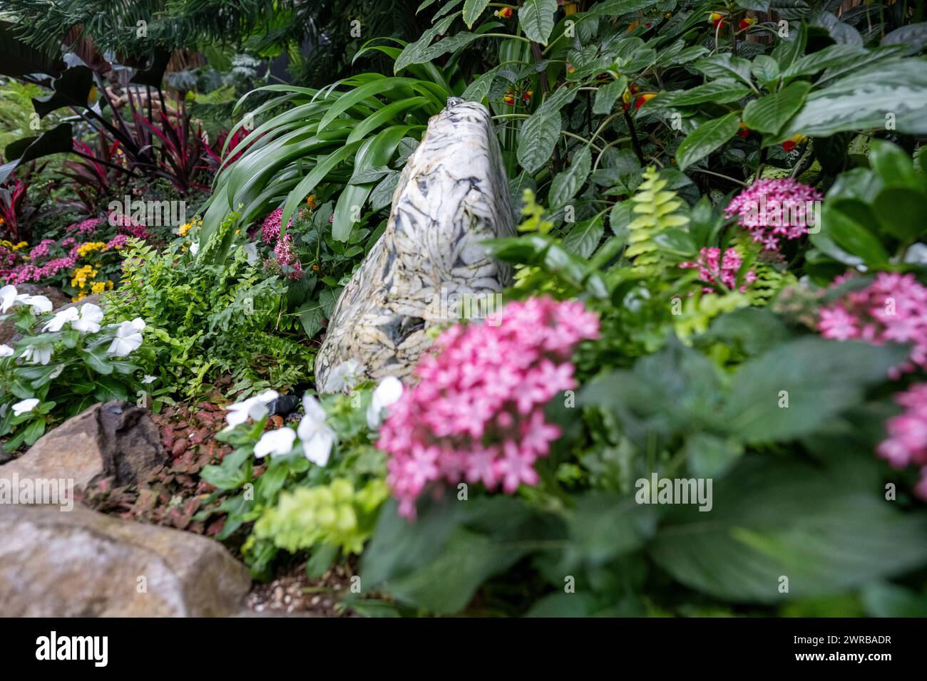 Gartenblumen Nahaufnahme Stockfoto