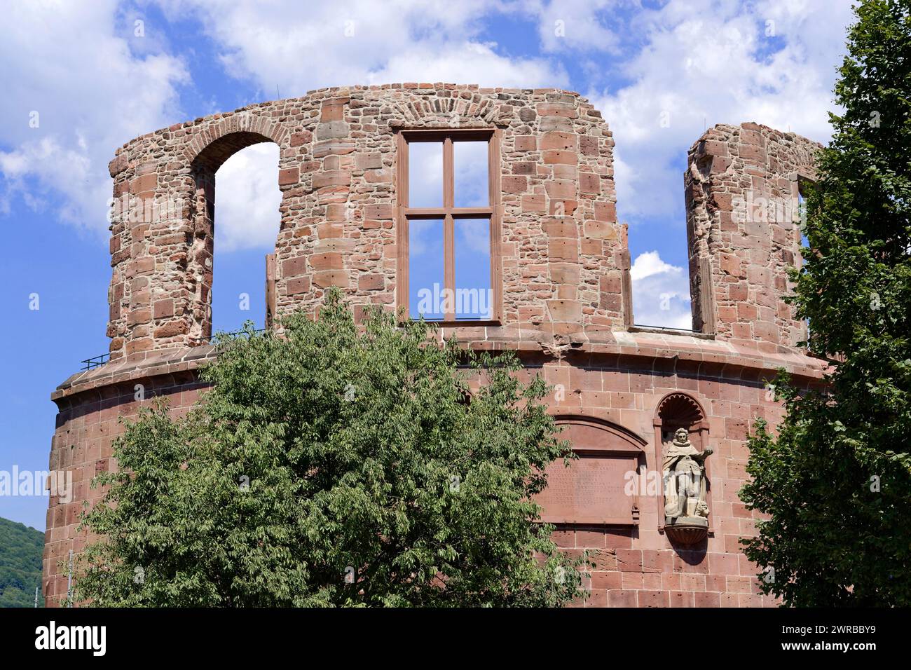 Alte Ruine (Heidelberger Burg), mit Fensteröffnung, Skulptur und Baum davor, Heidelberg, Baden-Württemberg, Deutschland Stockfoto