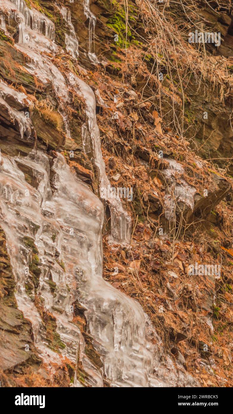 Nahaufnahme von Eiszapfen, die an einer Klippe mit braunem Laub hängen, in Südkorea Stockfoto