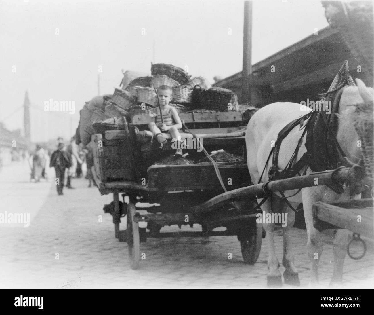 Junge, der einen Pferdewagen mit Körben fährt, Ungarn, 1923, Jungen, Ungarn, 1920-1930, Fotodrucke, 1920-1930., Fotodrucke, 1920-1930, 1 Fotodruck Stockfoto