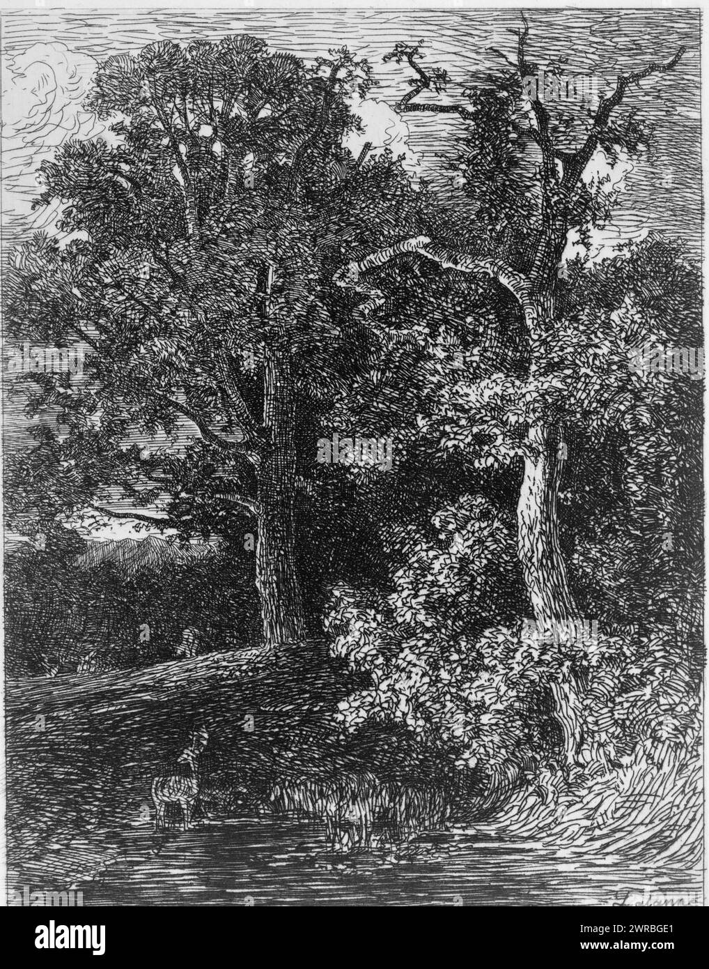 Crépuscule (Old Crome), Lalanne., Print zeigt eine sylvan-Szene mit Hirschen am Rande eines Teiches in der Nähe großer Bäume in der Dämmerung., Lalanne, Maxime, 1827-1886, Künstler, S.l.: S.n., zwischen 1860 und 1880, Bäume, 1860-1880, Ätzungen, 1860-1880., Querformatdrucke, 1860-1880, Radierungen, 1860-1880, 1 Druck: Ätzen, 12 x 9,3 cm. (Bild Stockfoto