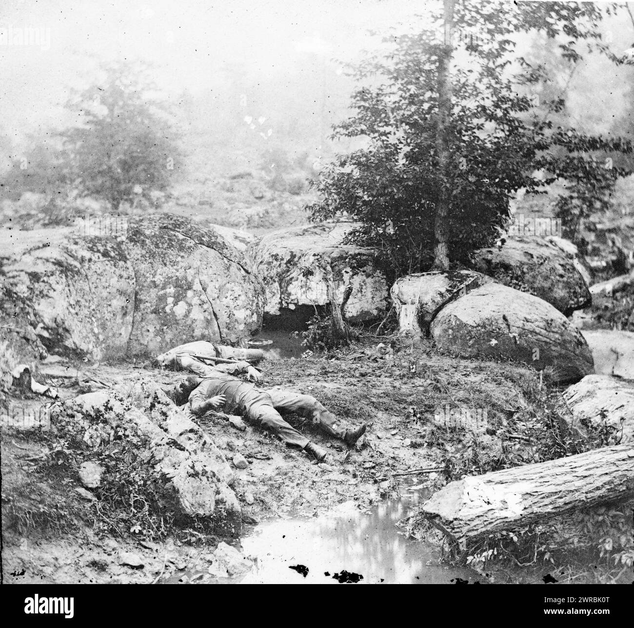 Gettysburg, Pa. Tote Soldaten der Konföderierten im Schlachthof am Fuße des Little Round Top, Foto vom östlichen Haupttheater des Krieges, Gettysburg, Juni-Juli 1863. Alexander, 1821-1882, Fotograf, 1863. Juli, USA, Geschichte, Bürgerkrieg, 1861-1865, Opfer, Konföderierte, Stereographen, 1860-1870., Stereographen, 1860-1870, feuchte Kollodeonnegative, 1 negativ (2 Platten): Glas, Stereogramm, feuchtes Kollodion Stockfoto