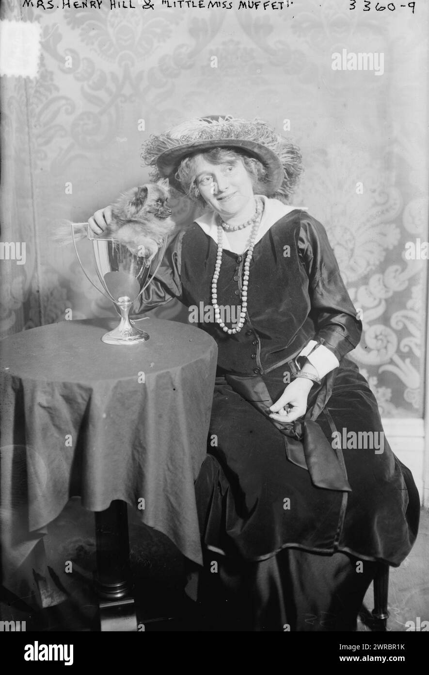 Mrs. Henry Hill, "Little Miss Muffet", Haustier, zwischen ca. 1910 und ca. 1915, Glasnegative, 1 negativ: Glas Stockfoto