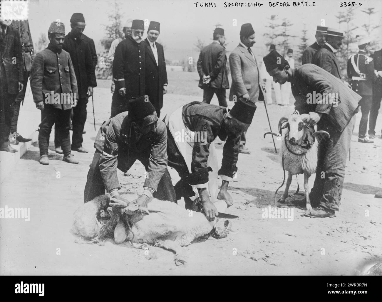 Türken opfern vor der Schlacht, Glas-negative, 1 negativ: Glas Stockfoto