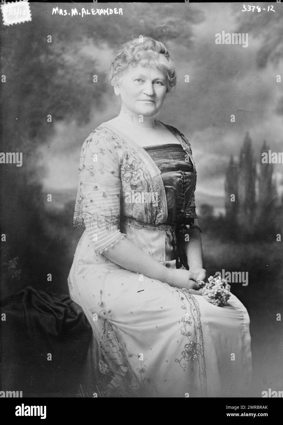 Mrs. M. Alexander, Foto zeigt Helena Kaestner Alexander, Ehefrau Moses Alexander (1853–1932), die von 1915 bis 1919 Gouverneur von Idaho war., 13. April 1915, Glass negative, 1 negative: Glass Stockfoto