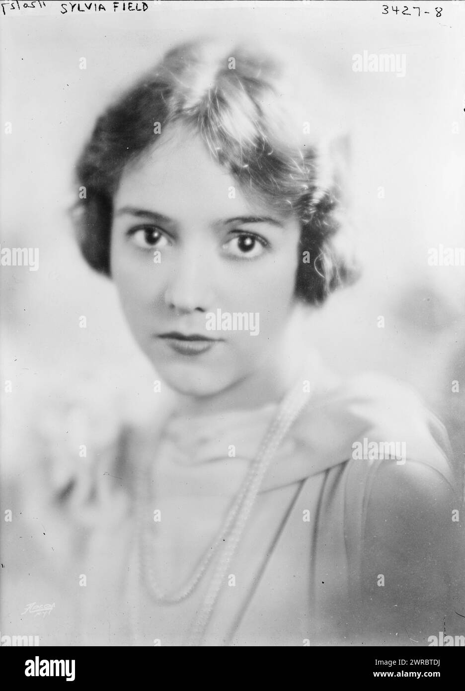 Sylvia Field, Foto zeigt Schauspielerin Sylvia Field (1901–1998), die 1927 in dem Stück Broadway spielte, 20. Januar 1927, Glass negative, 1 negative: Glass Stockfoto