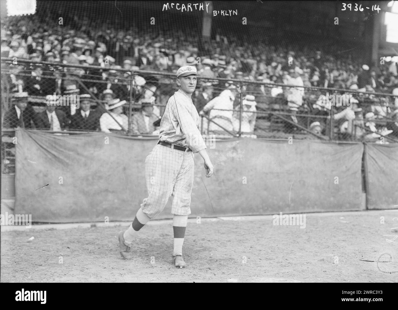 Lew McCarty, Brooklyn NL (Baseball), 1915, Glass negative, 1 negative: Glass Stockfoto