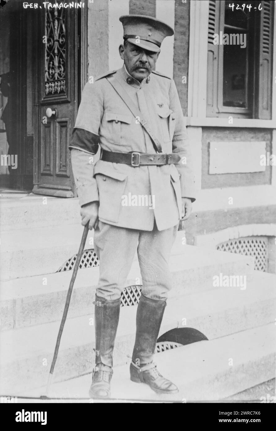 General Tamagnini, Foto zeigt General Fernando Tamagnini de Abreue Silva, Kommandant des portugiesischen Expeditionskorps (CEP) von Januar 1917 bis August 1918 während des Ersten Weltkriegs, zwischen ca. 1915 und ca. 1920, Glasnegative, 1 negativ: Glas Stockfoto