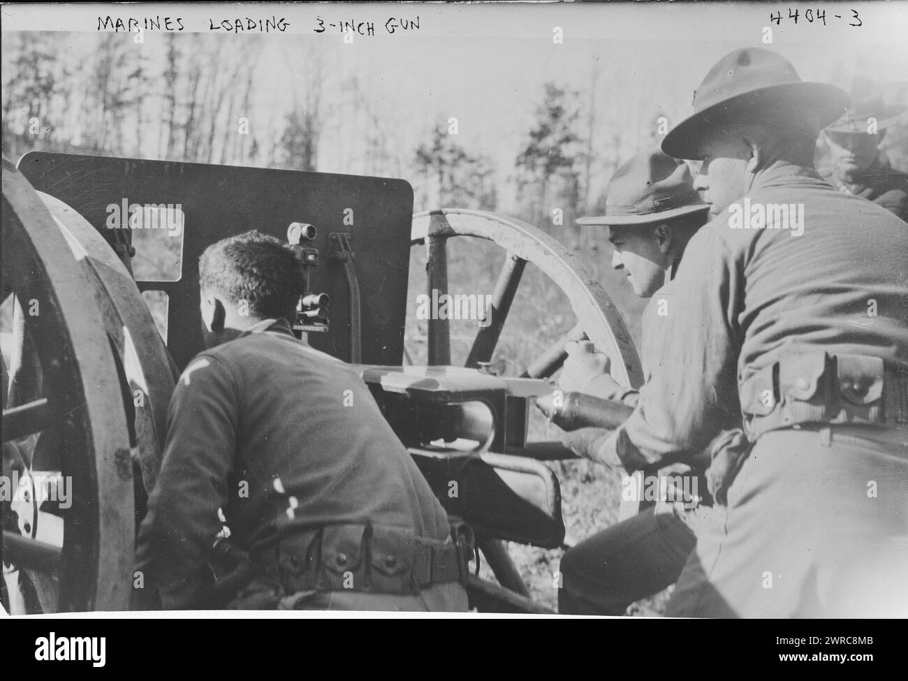 Marinefelder, Glasnegative, 1 negativ: Glas Stockfoto