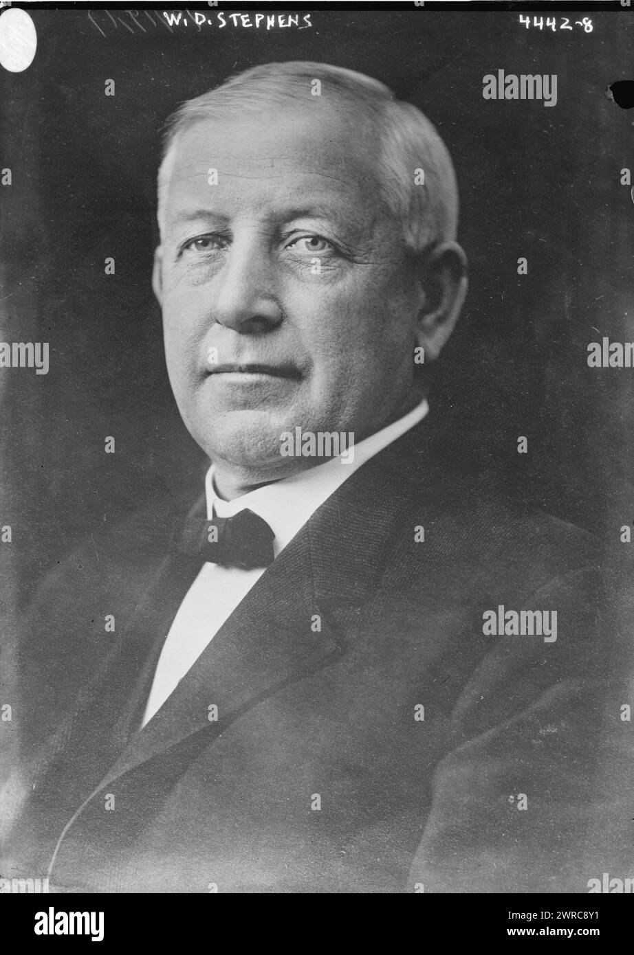 W. D. Stephens, Foto zeigt William Dennison Stephens (1859–1944), einen US-Repräsentanten und Gouverneur von Kalifornien. 1915 und 1917, Glasnegative, 1 negativ: Glas Stockfoto