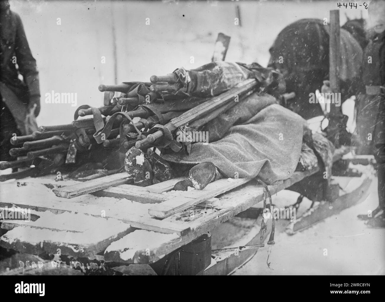 Tot in Halifax, Foto zeigt Opfer der Explosion am 6. Dezember 1917 in Halifax, Nova Scotia, Kanada, auf Schlitten gelegt. 1917 oder 1918, Glasnegative, 1 negativ: Glas Stockfoto