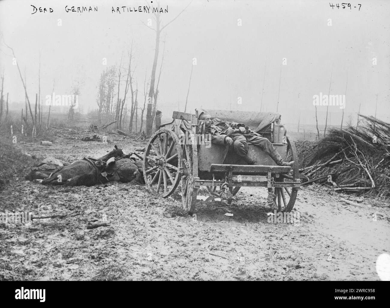 Toter deutscher Artilleristen, Glas-negative, 1 negativ: Glas Stockfoto
