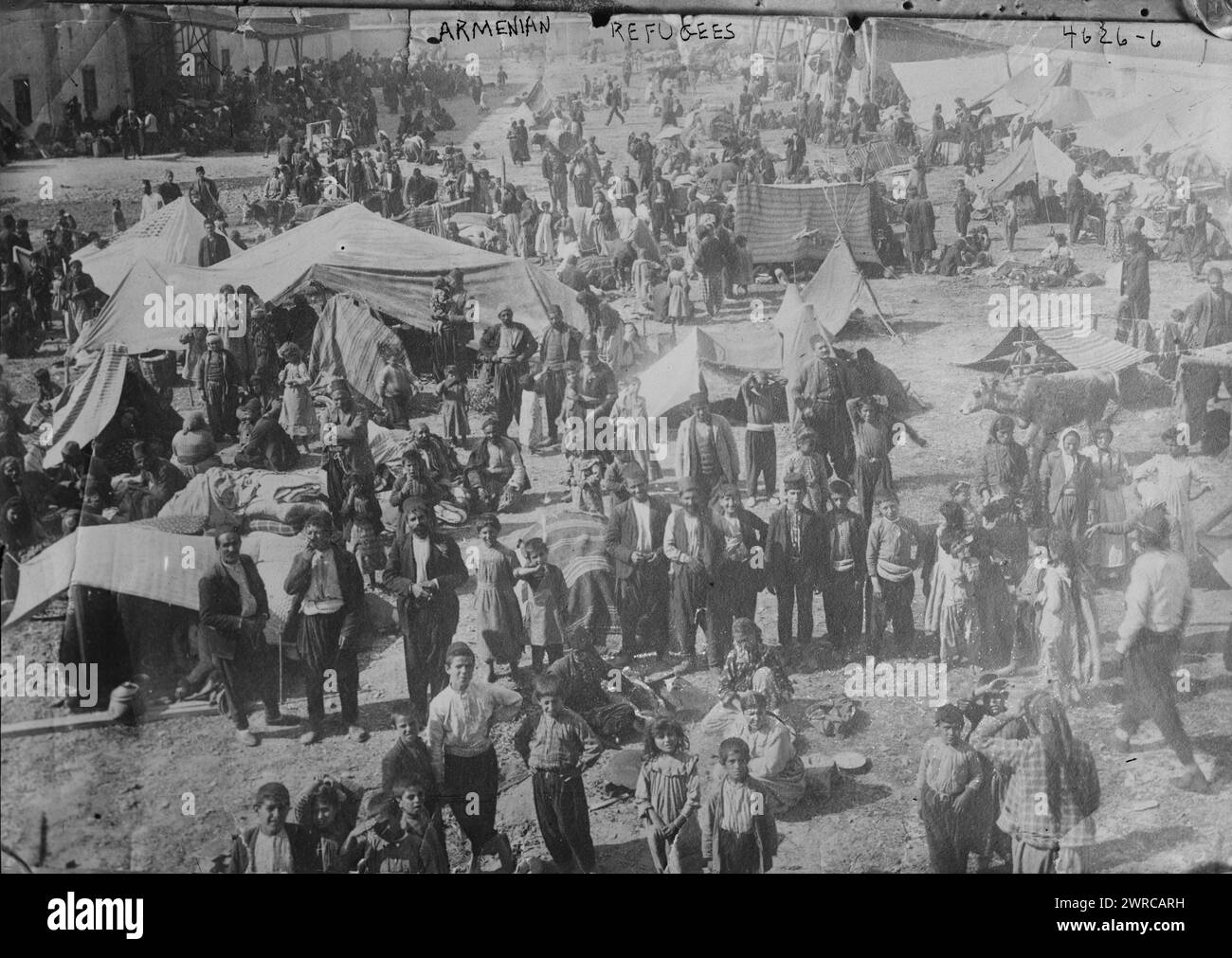 Armenische Flüchtlinge, Foto zeigt Überlebende der armenischen Massaker von 1909 im Innenhof der deutsch-levanten Baumwollfirma Adana, Osmanisches Reich., 1909, Glasnegative, 1 negativ: Glas Stockfoto