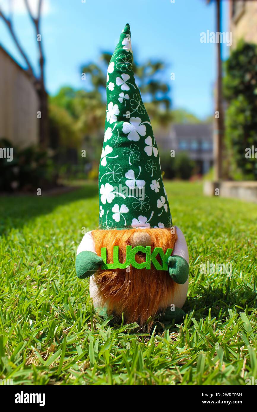 St. Patrick's Day GNOME Stockfoto
