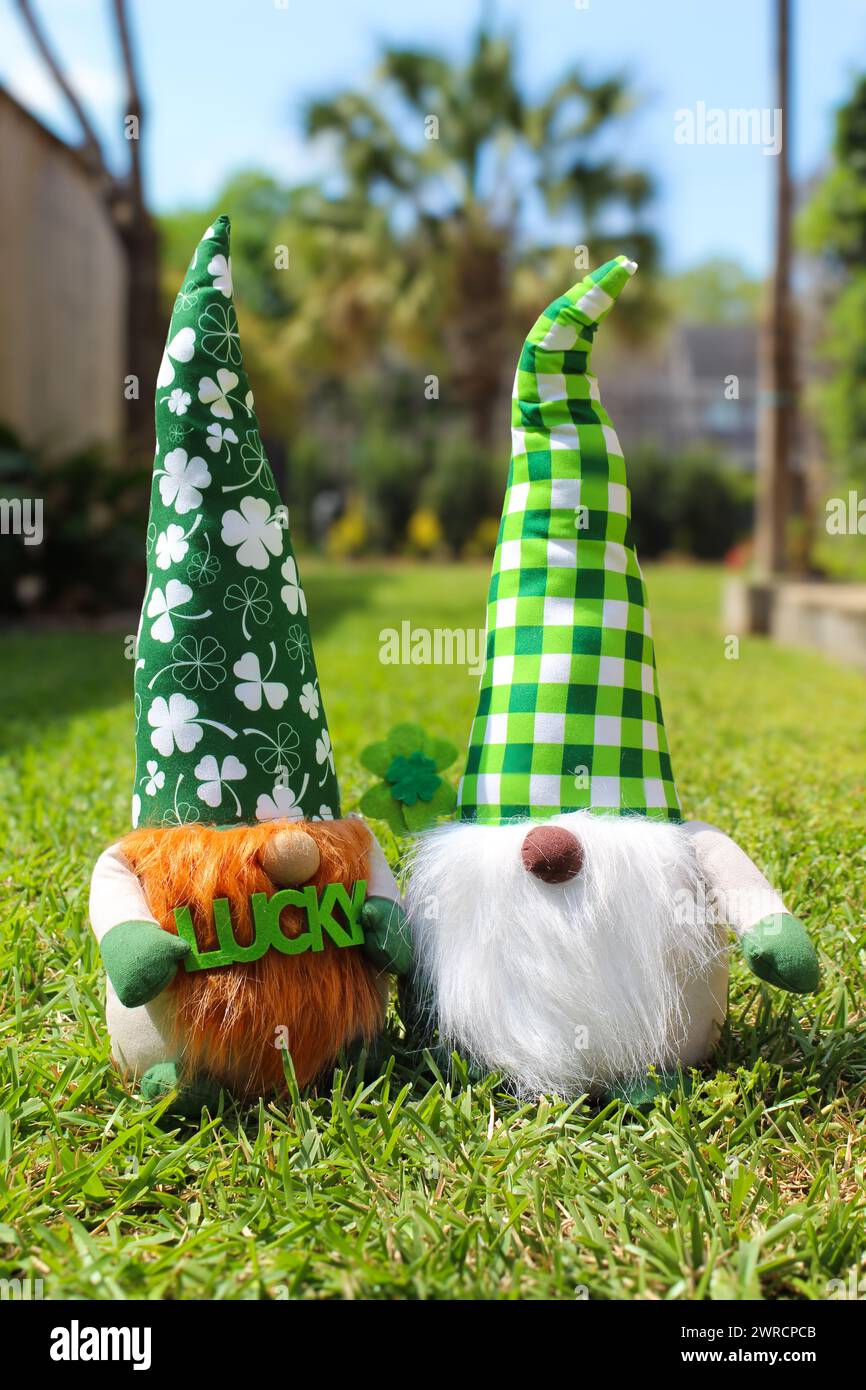 St. Patrick's Day GNOME Stockfoto