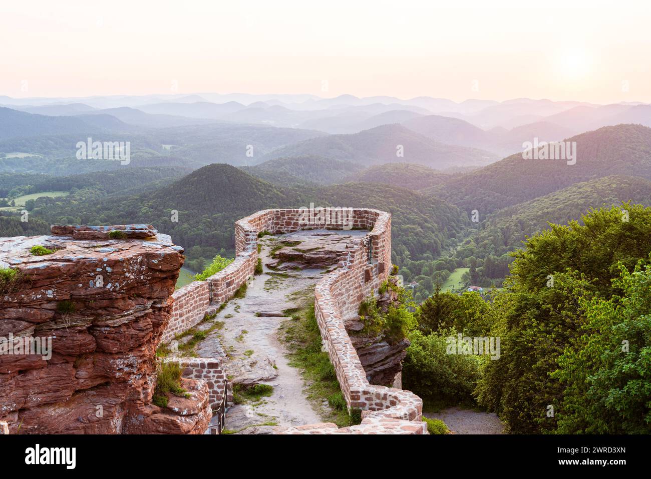 Leuchtender Sonnenaufgang über der Ruine der Wegelnburg und des Pfälzerwaldes, Rheinland-Pfalz Stockfoto