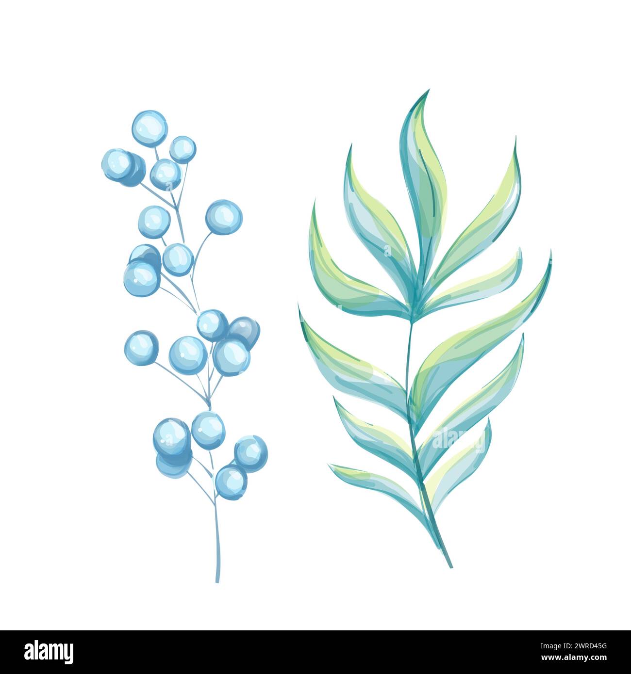 Tropische Palmenblätter in Wasserfarben. Isoliert Stockfoto