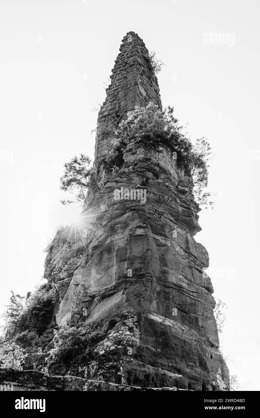 Burggraben und Donjon der mittelalterlichen Burgruine Wasigenstein auf einem Felsen, der von der Sonne beleuchtet wird, Wasgau, Elsass, Frankreich Stockfoto