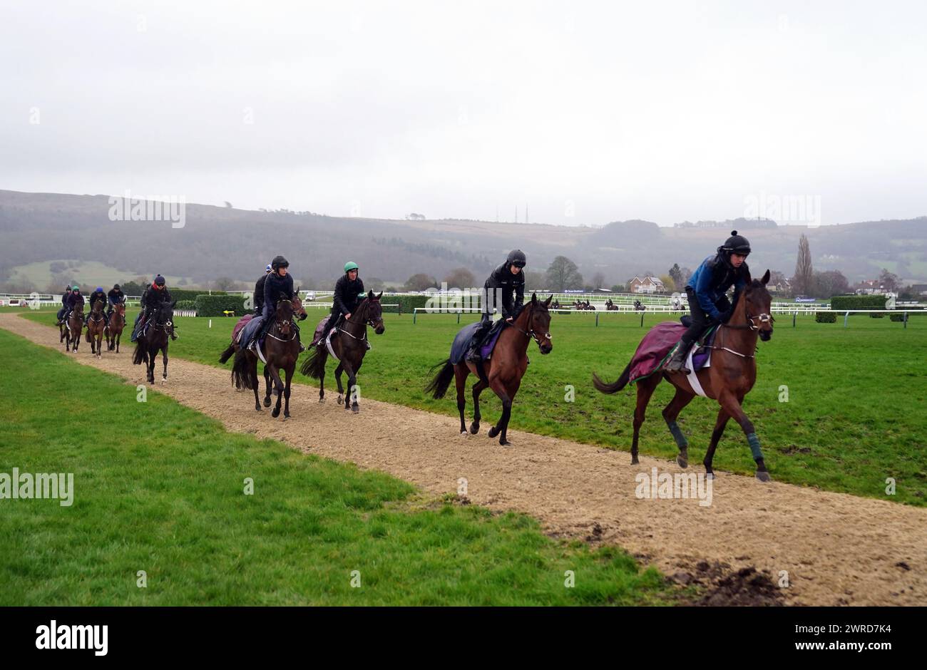 Pferde, die von Henry de Bromhead auf den Galopps vor dem ersten Tag des Cheltenham Festivals 2024 auf der Cheltenham Racecourse trainiert wurden. Bilddatum: Dienstag, 12. März 2024. Stockfoto