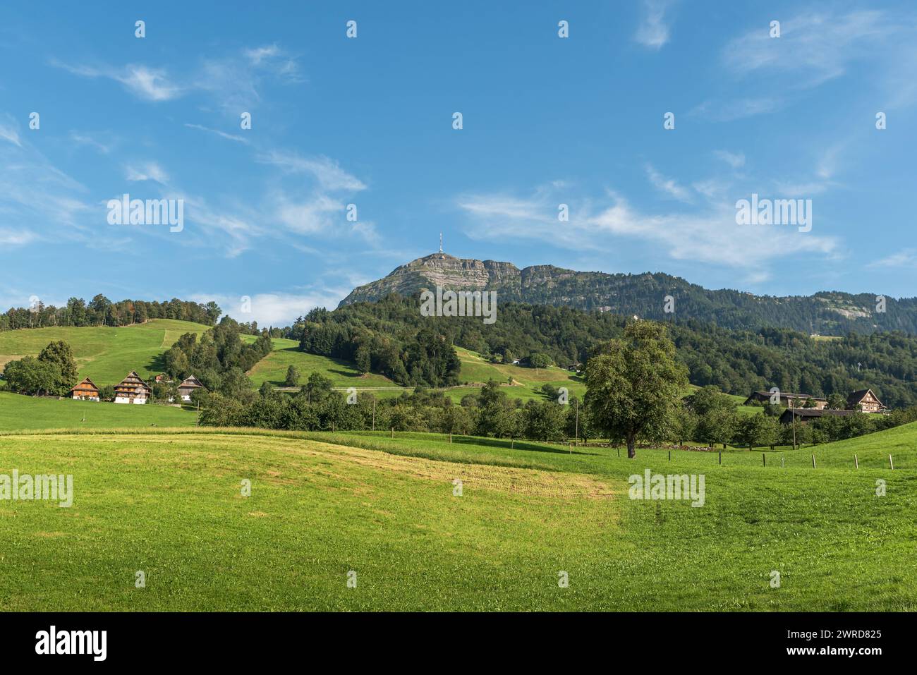 Landschaft mit Bauernhöfen und Wiesen, Blick auf Rigi, Kuessnacht, Kanton Schwyz, Schweiz Stockfoto