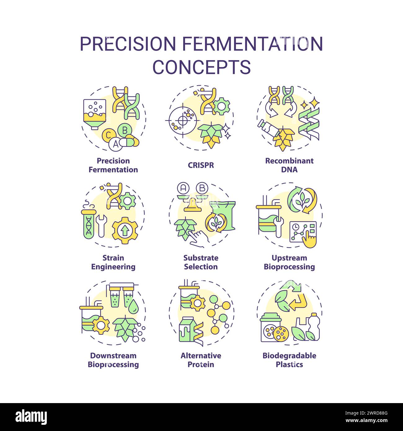 Concept-Symbole für Präzisionsfermentation in mehreren Farben Stock Vektor