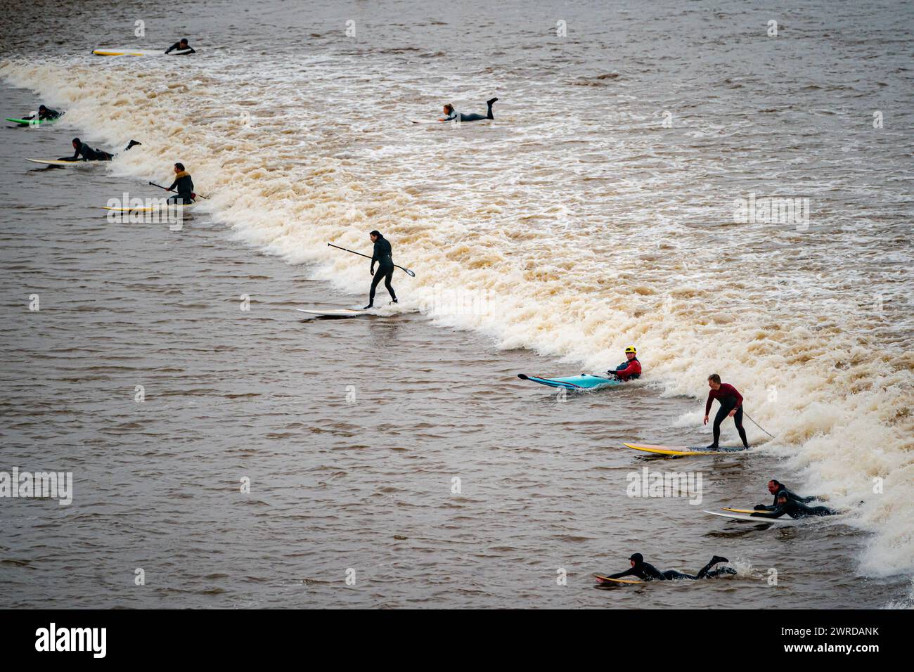 Surfer fahren in Newnham, Gloucestershire, auf dem ersten „fünf-Sterne“ Severn Bore von 2024. Die Röhre, eine große Schwingungswelle, bildet sich in der Mündung des Severn, wo der Gezeitenbereich die zweithöchste der Welt ist, und wird verursacht, wenn die eintretende Flut in einen immer engeren Kanal gegen die Strömung des Flusses geschleudert wird. Bilddatum: Dienstag, 12. März 2024. Stockfoto