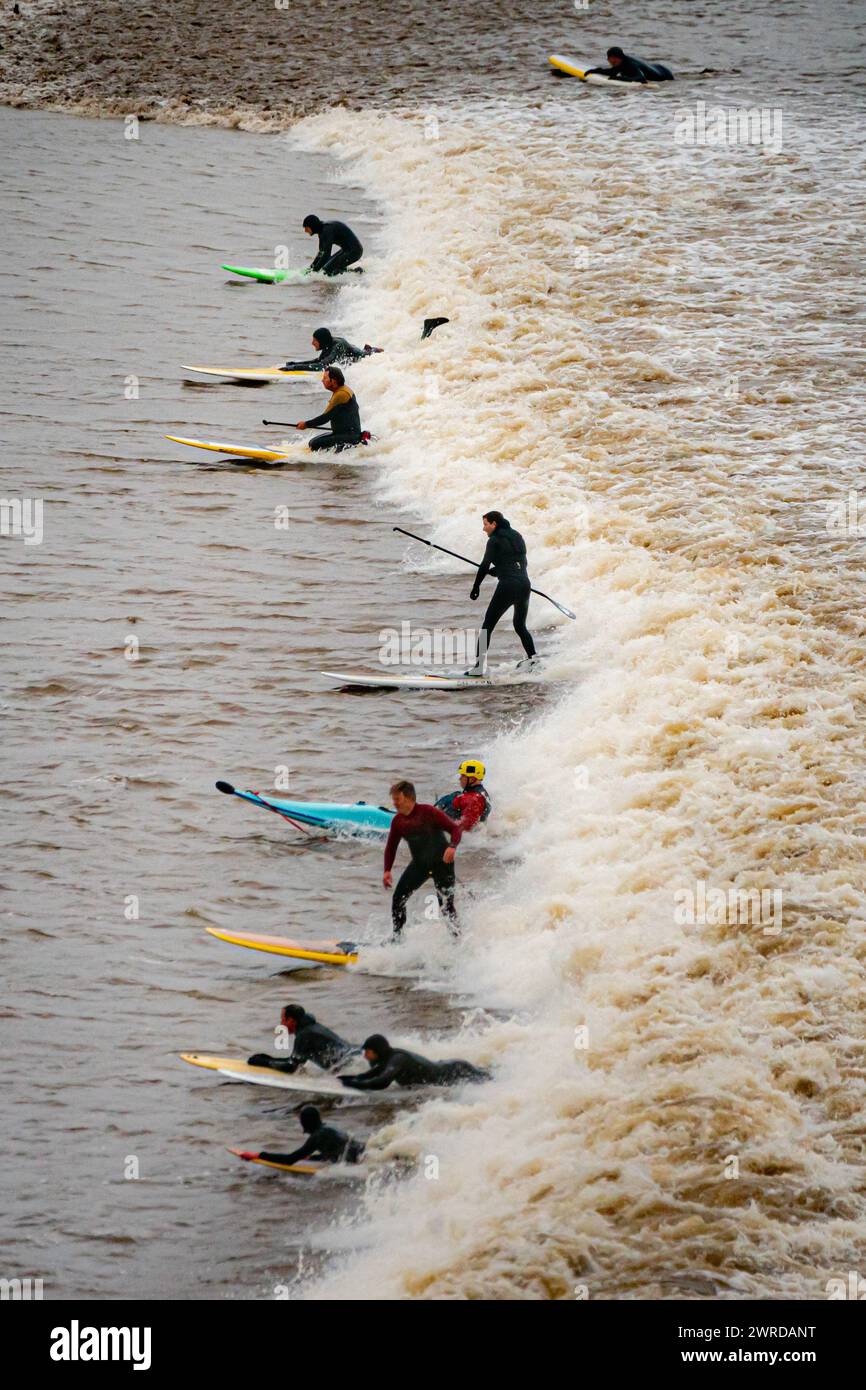 Surfer fahren in Newnham, Gloucestershire, auf dem ersten „fünf-Sterne“ Severn Bore von 2024. Die Röhre, eine große Schwingungswelle, bildet sich in der Mündung des Severn, wo der Gezeitenbereich die zweithöchste der Welt ist, und wird verursacht, wenn die eintretende Flut in einen immer engeren Kanal gegen die Strömung des Flusses geschleudert wird. Bilddatum: Dienstag, 12. März 2024. Stockfoto