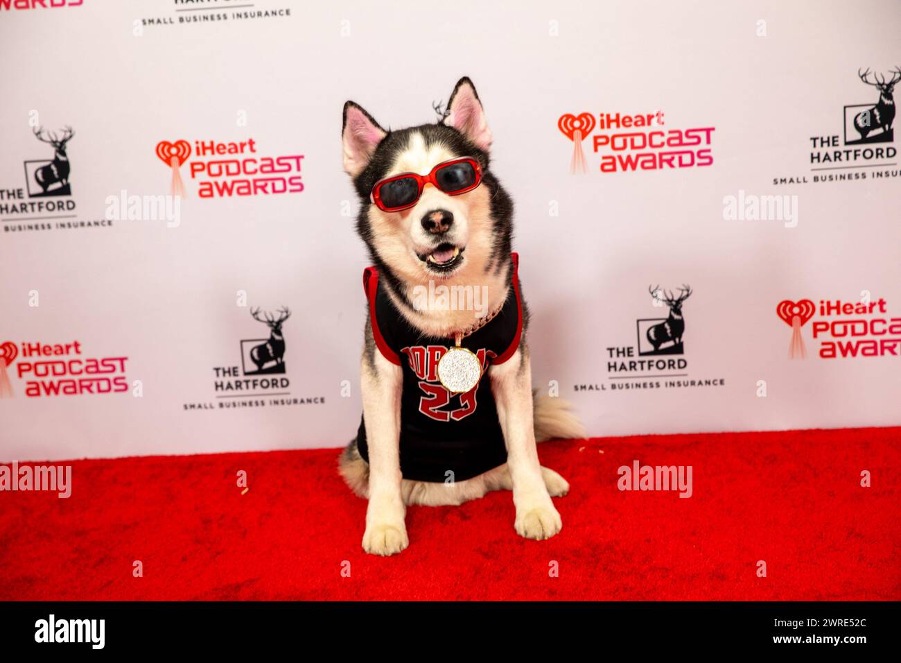 Swaggy Wolf Dog nimmt am 11. März 2024 an den iHeart Podcast Awards während der SXSW in Austin, Texas, Teil. (Foto: Stephanie Tacy/SIPA USA) Stockfoto