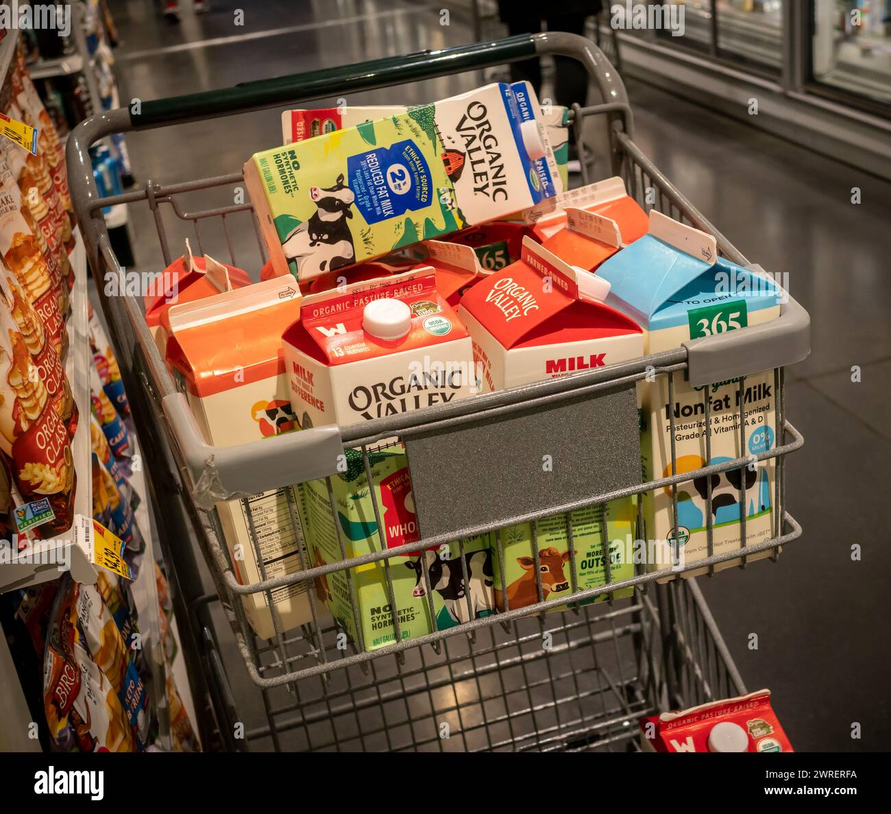 Eine Auswahl an Bio Valley und Whole Foods 365-Hausmilch in einem Einkaufswagen, einem Supermarkt, der am Samstag, den 9. März 2024 in New York auf Lager wartet. (© Richard B. Levine) Stockfoto