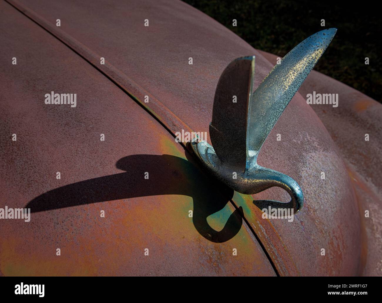 Chrom-Kapuzendekoration auf der verrosteten Motorhaube eines alten Trucks auf dem Truck-Friedhof in Zentral-Virginia. Stockfoto