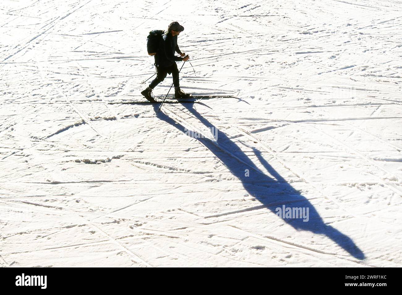 Skilanglauf in Mamouth Mountain, Kalifornien, USA Stockfoto