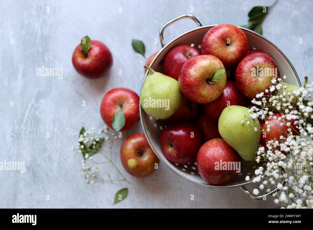 Glänzende rote Äpfel in weißem Sieb. Nahaufnahme von Bio-Früchten auf einem Tisch. Leuchtende Farben von saisonalem Obst. Fresh-Konzept. Hellgraues Ba Stockfoto