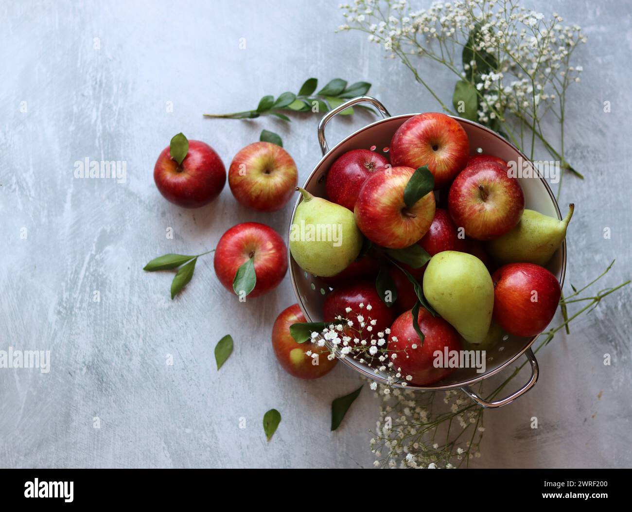 Glänzende rote Äpfel in weißem Sieb. Nahaufnahme von Bio-Früchten auf einem Tisch. Leuchtende Farben von saisonalem Obst. Fresh-Konzept. Hellgraues Ba Stockfoto
